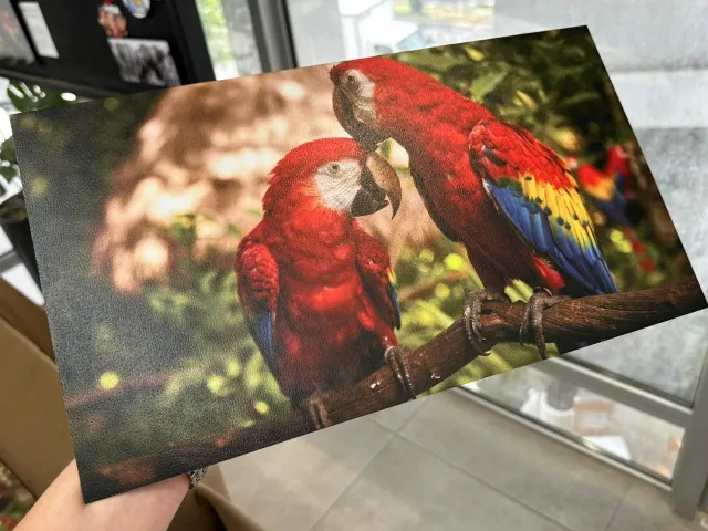 Impresión sobre aluminio ChromaLuxe texturizado
